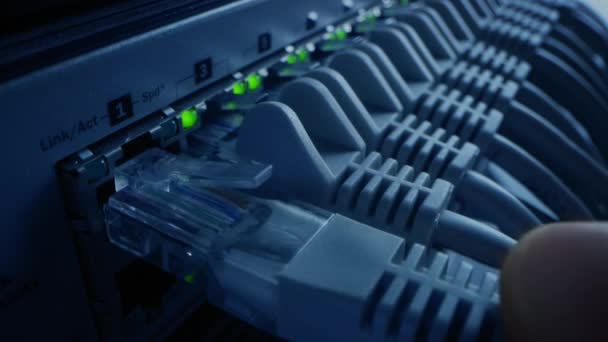 Close-up Macro Shot: Persoon sluit RJ45 Internet Connector aan op LAN Router Switch. Informatiecommunicatienetwerk met datakabel dat is aangesloten op de haven met knipperlichten. Blauwe achtergrond — Stockvideo