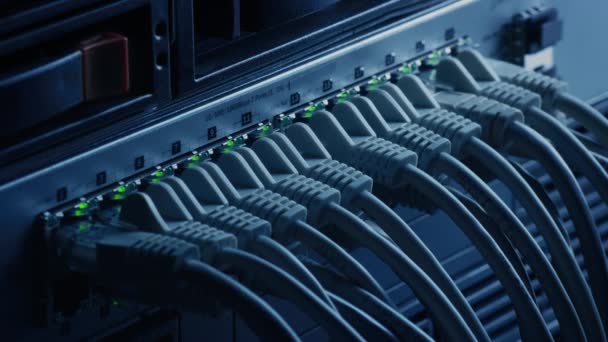 Makroaufnahme: Ethernet-Datenzentrumskabel, die mit blinkenden Lichtern mit Router-Ports verbunden sind. Telekommunikation: RJ45-Internetanschlüsse, die in Modem LAN Switches gesteckt werden. Cyber-Sicherheitsdatenbank funktioniert