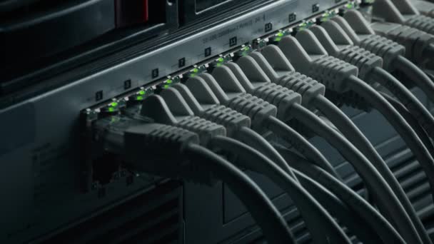 Macro Shot: Ethernet Veri Kabloları Yanıp sönen Işıklar ile Yönlendirici Portlara Bağlandı. Telekomünikasyon: RJ45 Internet Connectors Modem LAN anahtarlarına bağlandı. Güvenli Veri Merkezi Sistemi Çalışıyor — Stok video