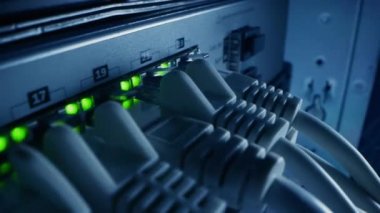 Macro Shot: Ethernet Veri Kabloları Yanıp sönen Işıklar ile Yönlendirici Portlara Bağlandı. Telekomünikasyon: RJ45 Internet Connectors Modem LAN Hub 'a bağlandı. Güvenli Veri Merkezi Sistemi Çalışıyor