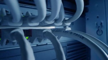 Makro Çekim: Ethernet Kabloları Yanıp sönen Işıklar ile Yönlendirici Portlara Bağlandı. Telekomünikasyon RJ45 Aygıt Bağlantıları Modem Dairelerine bağlandı. Veri Merkezi 'ni koruyun. Kablolar Arasında Kamera Taşıma