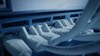 Makro Çekim Ethernet Kabloları Yanıp sönen Işıklar ile Yönlendirici Portlara Bağlandı. Telekomünikasyon: RJ45 Aygıt Bağlantıları Modem Hubs 'a bağlandı. Veri Merkezi 'ni koruyun. Kablolar Arasında Kamera Taşıma