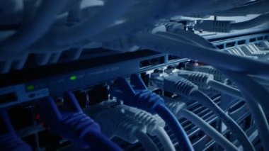 Makro Çekim Ethernet Kabloları Yanıp sönen Işıklar ile Yönlendirici Portlara Bağlandı. Telekomünikasyon: RJ45 Aygıt Bağlantıları Modem Hubs 'a bağlandı. Veri Merkezi 'ni koruyun. Kablolar Arasında Kamera Taşıma