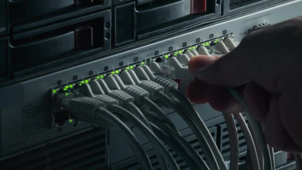 Macro Shot: Conectores de persona en RJ45 Conector de Internet en LAN Router Switch. Red de comunicación de información con cables de datos conectados a puertos de módem con luces intermitentes — Vídeos de Stock