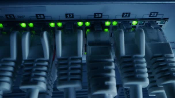 Macro Shot: Ethernet Veri Kabloları Yanıp sönen ışıklarla Router Portlarına bağlandı. Telekomünikasyon: RJ45 Internet Connectors Modem LAN anahtarlarına bağlandı. Güvenli Veri Merkezi Sistemi Çalışıyor — Stok video