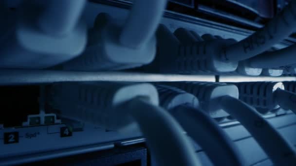 Close-up Macro Shot: Ethernetkabels verbonden met routerpoorten met knipperlichten. Telecommunicatie RJ45 Apparaatconnectoren aangesloten op Modem Hubs. Beveilig het datacenter. Camera beweegt tussen kabels — Stockvideo