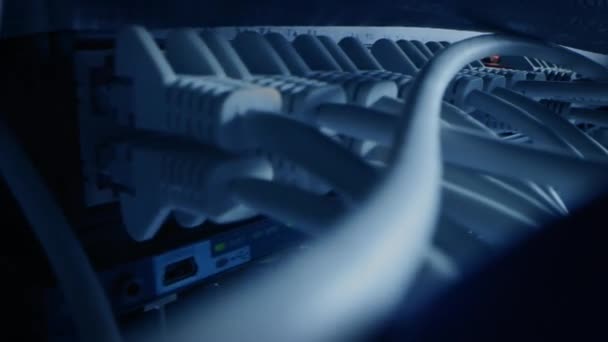 Gros plan Câbles Macro Shot Ethernet connectés aux ports de routeur avec feux clignotants. Télécommunications : Connecteurs de périphériques RJ45 connectés aux concentrateurs de modem. Centre de données sécurisé. Caméra se déplaçant entre les câbles 