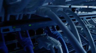 Bilgi İşlem Yöneticisi RJ45 Internet Connector 'ı LAN Router Switch' e bağlıyor. Veri Merkezi 'ndeki Bilgi İletişim Ağı ile Yanıp sönen Işıklarla Modem Portlarına Bağlı Kablolar