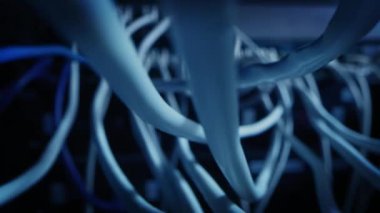 Makro Çekim: Ethernet Kabloları Yönlendirici Portlara Bağlandı. Telekomünikasyon: RJ45 Aygıt Bağlantıları Modem Hubs 'a bağlandı. Kablolar Arasında Kamera Taşımacılığında Çekici POV İlk Kişi Yakınlaştırması