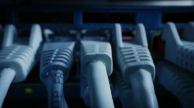 Makro Çekim: Ethernet Kabloları Yönlendirici Portlara Bağlandı. Telekomünikasyon: RJ45 Aygıt Bağlantıları Modem Hubs 'a bağlandı. Etkileyici POV İlk Kişi Uzaklaştırma Kamerası Kablolar Arasında Taşıma