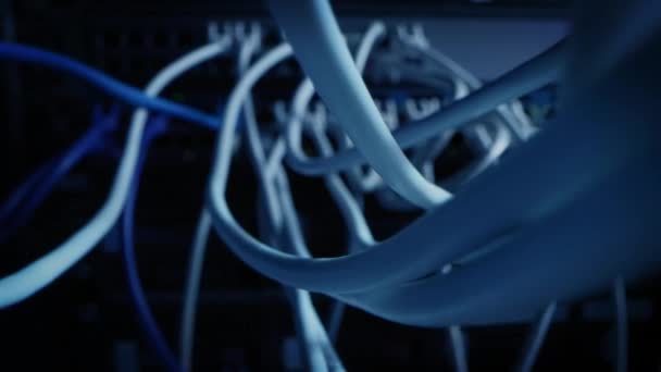 Närbild Macro Skott: Ethernet kablar Ansluten till Router Ports. Telekommunikation: RJ45 Enhetsanslutningar Ansluts till modemcentraler. Immersiv POV Förstaperson Zoom i kameran rör sig mellan kablar — Stockvideo