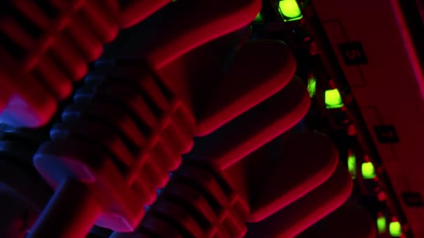 Macro Shot: Cavi Ethernet Data Center collegati a porte Router in sfondo rosso al neon. Connettori Internet RJ45 collegati a switch LAN modem. Video verticale di orientamento dello schermo 9: 16 . — Video Stock