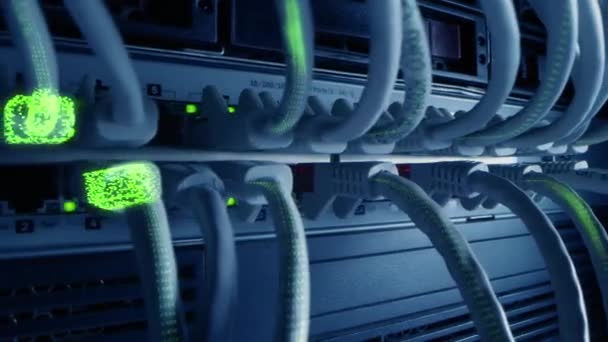 Kabely Ethernet připojené k modemu pomocí informací a dat datového proudu digitálního binárního kódu. Koncept: Digitalizace a vizualizace telekomunikací. Makro snímek, Zelené speciální efekty — Stock video