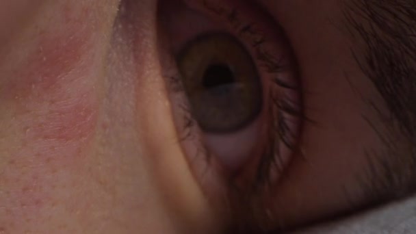 Close Up Macro Shot of an Eye. Handsome Natural Young Male Wakes Up and Open His Eyes with Brown and Yellow Color Pigmentation on the Iris. Man is Staring and Blinks. Camera Zooms Out. — Stock Video