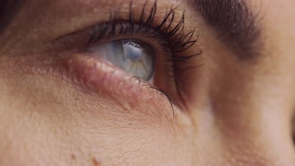 Close-up Macro Zoom shot van een oog. Jonge Beatiful Female die haar ogen opent met lichtblauwe, gele en bruine kleurpigmentatie op de Iris. Mascara wordt toegepast op wimpers. Zichtbare rode bloedvaten. — Stockvideo