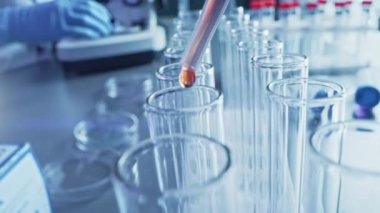 İlaç Laboratuvarı: Sıvıyı Test Tüplerine Bırakma, Tıbbi Araştırma ve Analiz. Ürün Hattı; Damlatıcı DNA Çalışması için kullanılan biyokimyasal sıvıyla örnek tüpleri doldurur. Makro 'yu yakın plan