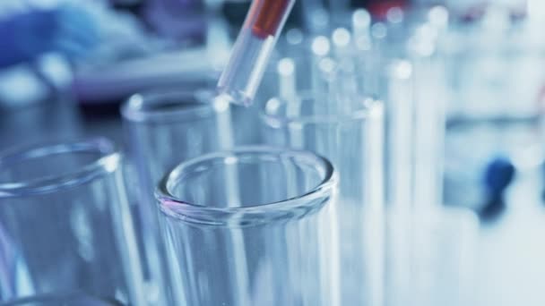 Εργαστήριο Φαρμακευτικής: Pipette Dropping Red / Orange Liquid into Test Tubes, Ιατρική Έρευνα, Ανάλυση. Scientific Lab; Σταγονομετρητής γεμίζει δείγμα σωλήνες με καινοτόμες λύσεις Μελέτη DNA. — Αρχείο Βίντεο