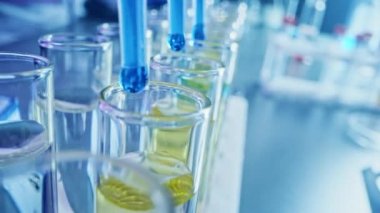 İlaç Laboratuvarı: Birden fazla Pipette Mavi Sıvıyı Test Tüplerine Bırakıyor, Tıbbi Araştırma ve Analiz. Ürün Hattı; Damlatan DNA çalışması için örnek tüpleri dolduruyor. Makro 'yu yakın plan