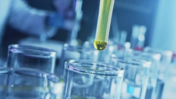 Εργαστήριο Φαρμακευτικής: Pipette Drop Yellow Liquid into Test Tubes, Medical Research, Analysis. Επιστημονικό εργαστήριο; Σταγονομετρητής γεμίζει δείγμα σωλήνες με καινοτόμο φάρμακο. Κοντινό πλάνο Macro Φθίνουσα βολή — Αρχείο Βίντεο
