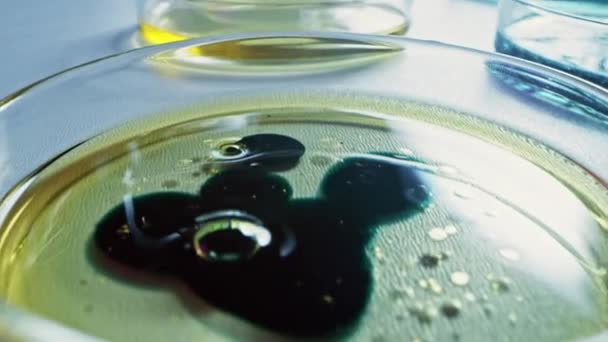 Laboratorium voor microbiologie: Petrischalen met verschillende bacteriemonsters. Concept van Farmaceutisch Onderzoek naar Antibiotica, Genezing van Ziekte met DNA Verhogende Drugs, Nieuwe Milieuvriendelijke Energie Close-up Macro — Stockvideo