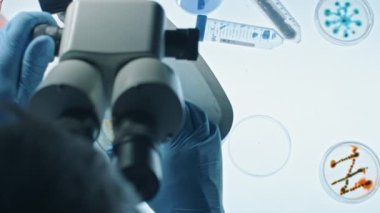 Mikrobiyoloji Laboratuvarı: Mikroskop Altında Bakteri, Doku ve Kan örnekleriyle Bakteri Tabakları 'nda Araştırmacı. Antibiyotikler için ilaç araştırması, hastalıkları iyileştirme. Üst Görünüm Yakından Makro