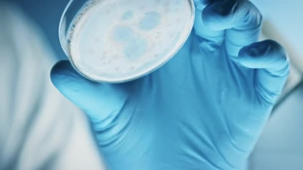Ученый в респираторной маске, очках в целом и в безопасности смотрит на чашки Петри с бактериями, тканями и образцами крови. Медицинская научно-исследовательская лаборатория по лечению эпидемических расстройств. Макро крупным планом — стоковое видео