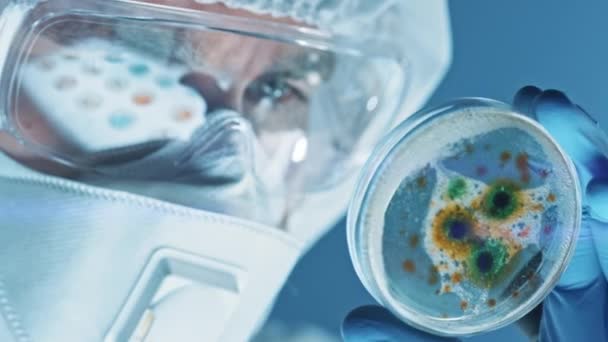 Científico con máscara respiratoria, cobertura y gafas de seguridad mira los platos de Petri con bacterias, tejidos y muestras de sangre. Medical Research Laboratory Curing Epidemic Diseases (en inglés). Primer plano Macro — Vídeo de stock