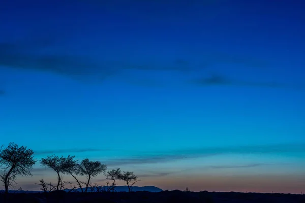 Silhouettes of trees on hill — Stock Photo, Image