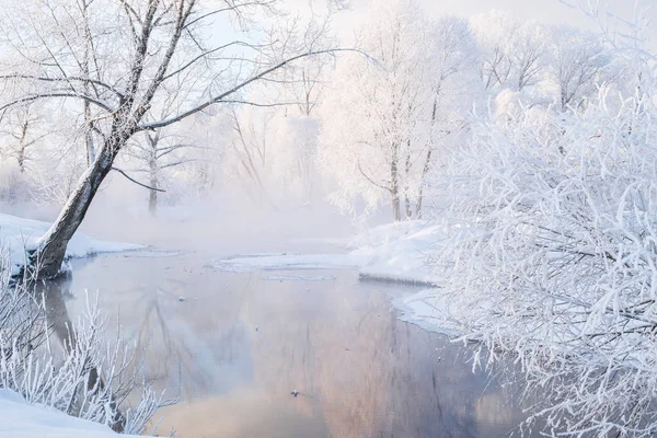 Snowy landscape with trees — Stock Photo, Image