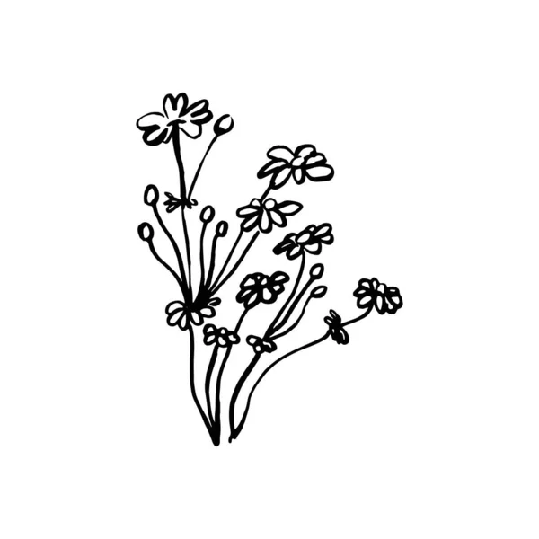 Gestaltungselement. Handgezeichnete schöne Wiesenblumen. Vektor Landschaft Hintergrund. Umriss Blumenvektorillustration. Vektorelement Gartenbau. Für Verpackung, Corporate Identity — Stockvektor