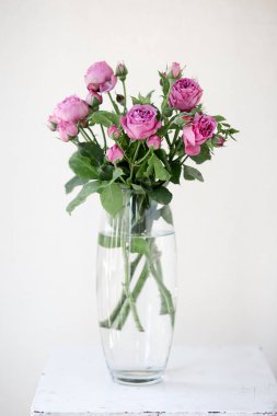 Mor şakayık çiçekleriyle dolu bir vazo