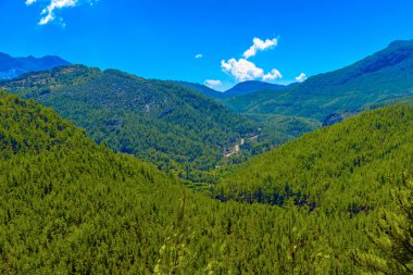 Yeşil dağ görünümü