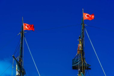 Türk bayrakları ile siyah mastlar