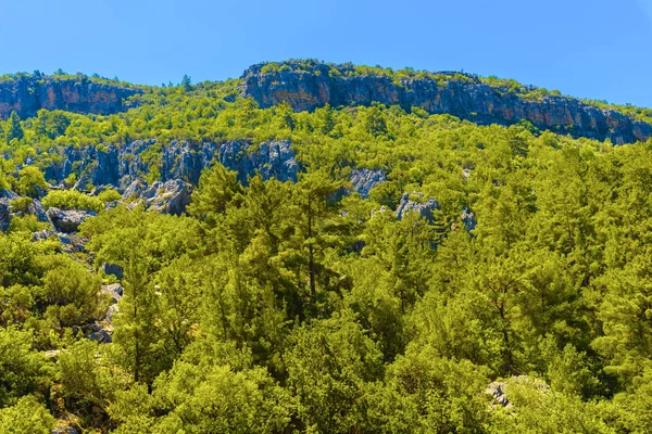 Blick auf den grünen Berg — Stockfoto