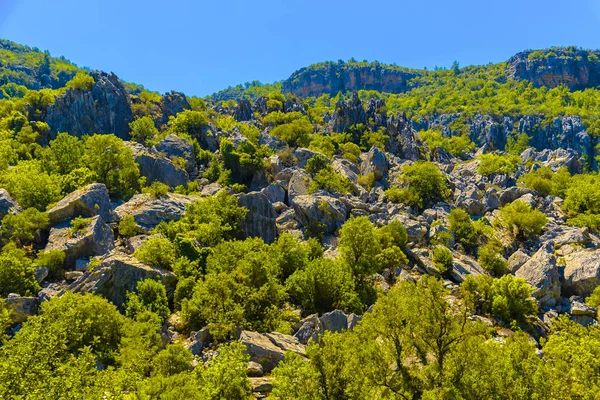 Blick auf den grünen Berg — Stockfoto