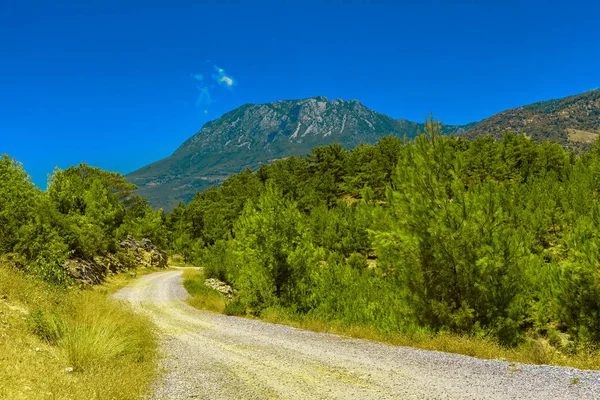 Vue sur route en montagne — Photo