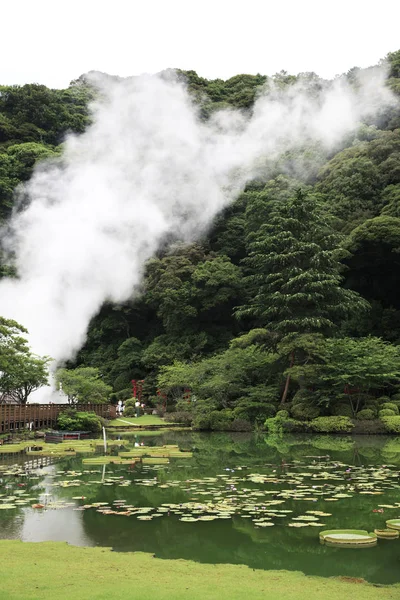 Estanque Loto Waterlily Umi Jigoku Beppu Japón — Foto de Stock