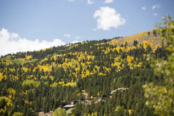 Colorado Mountain Covered Colorful Aspen Trees Fall — Stock Photo, Image