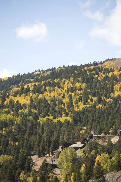 Colorado Mountain Covered Colorful Aspen Trees Fall — Stok fotoğraf