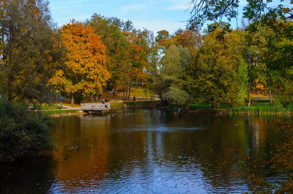 Sjön med höstträd på en bakgrund i Lettland — Stockfoto