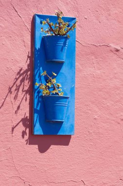 Mavi çiçek saksılar Duvar Dekorasyon olarak eski kova