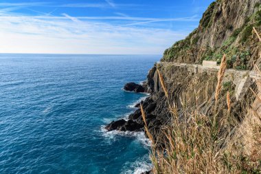 Cinque Terre Milli Parkı, İtalya Riomaggiore şehrin kayalık sahil şeridi Road'da hiking