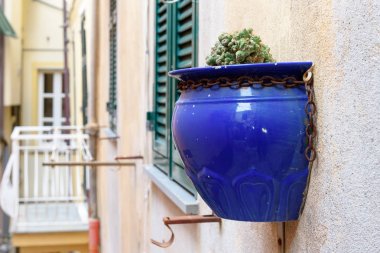 Şehirde Riomaggiore, İtalya mavi seramik vazo ile dekore edilmiş ev duvar