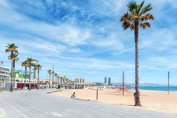  Yalnız adam kumlu plaj Barcelona şehir Palm'da yakınındaki oturuyor.