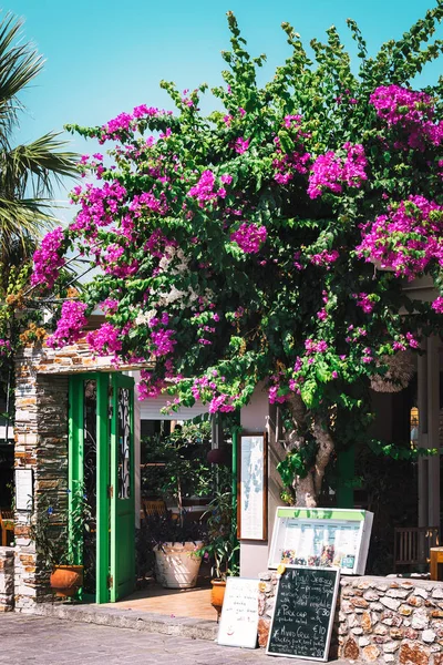 Entrance to traditional Greek tavern decorated with beautiful bougainvillea flowers. — Stock Photo, Image