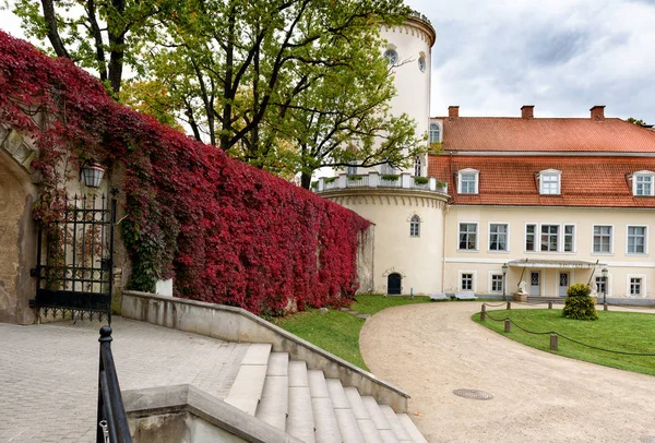 Парк Мбаппе со средневековой стеной и замком, украшенным красными цветами, в городе Цесис, Латвия — стоковое фото