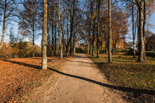 Επαρχιακό δρόμο στο Φθινοπωρινό πάρκο. Πόλη Μπαούσκα, Λεττονία — Φωτογραφία Αρχείου