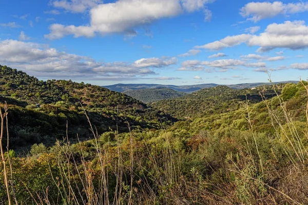 Paesaggio Verde Dell Andalusia Spagna — Foto Stock