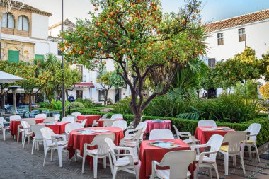 Marbella, İspanya - Aralık 2017: Street Cafe eski şehir merkezinde narenciye ağacı altında