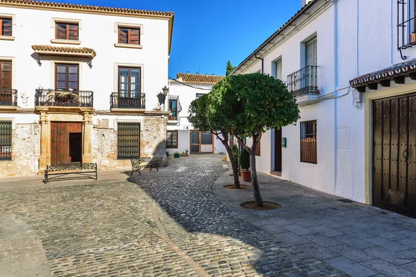 Precioso Patio Con Arquitectura Antigua Ronda España — Foto de Stock